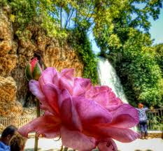 ЛУТРАКИ И ВОДЕН