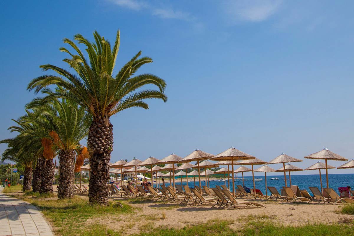 СОПСТВЕН ЗАКУП-OLYMPIC BEACH