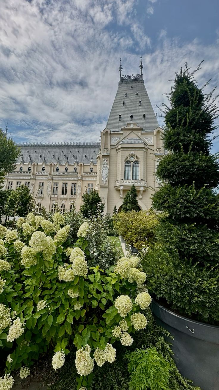 ЈАШИ ЗА ПРВИ МАЈ